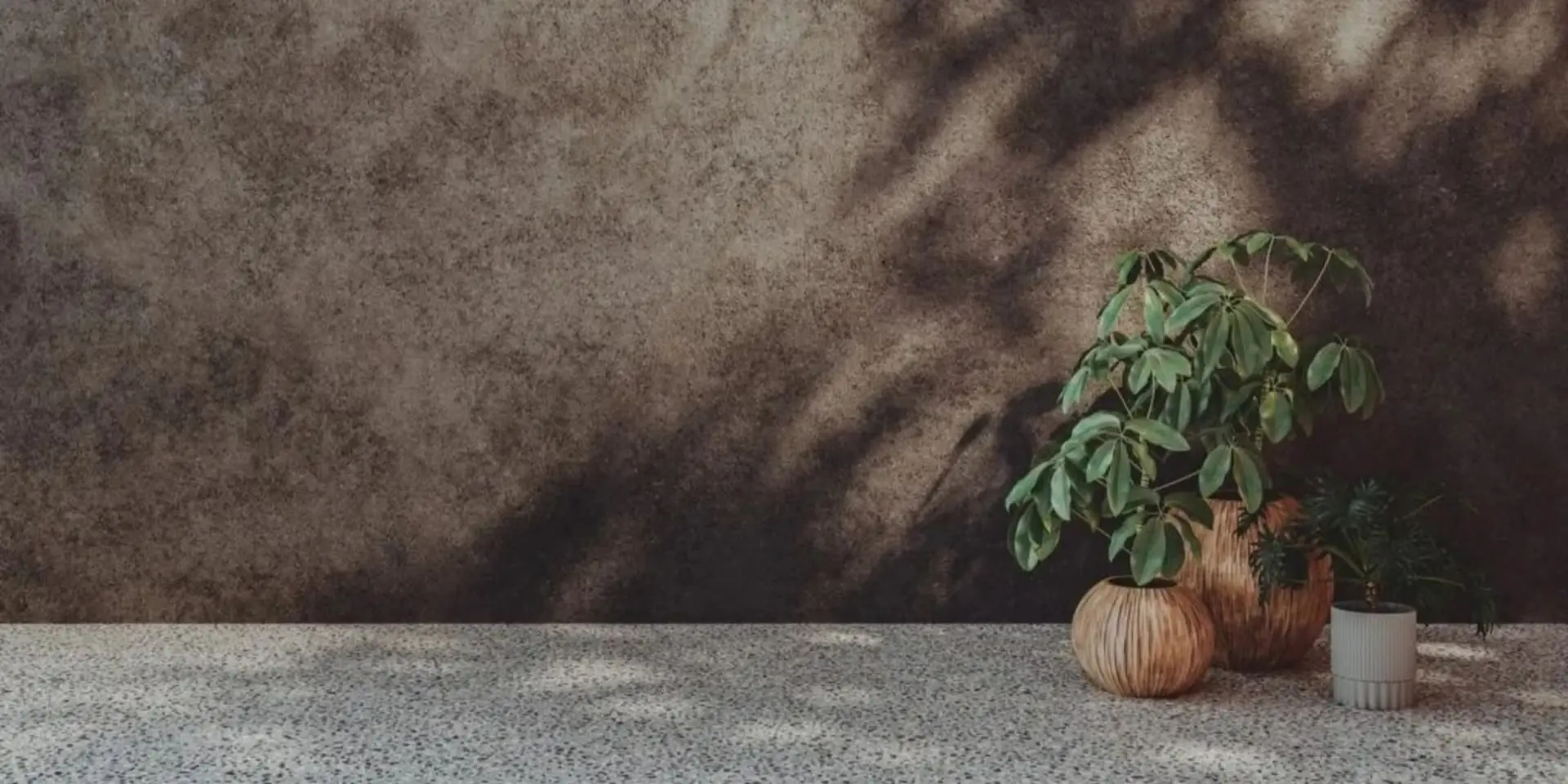A textured plaster wall lit by soft daylight, with the shadows of leaves and a group of potted plants on a terrazzo floor